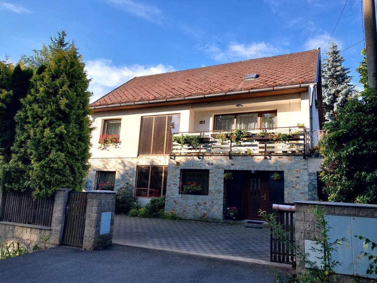 Ferienwohnung Garsonka Jilove u Prahy Exterior foto